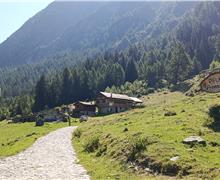 01 Plem (partenza Malga Premassone)